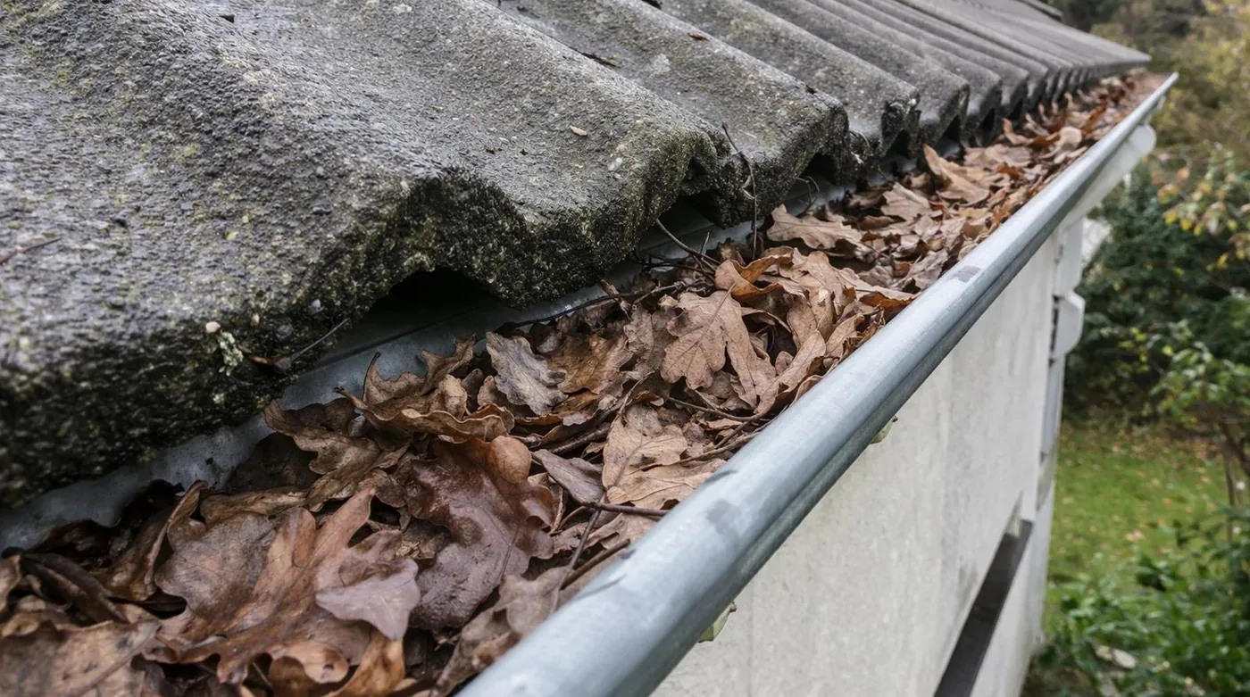 Gouttière obstruée